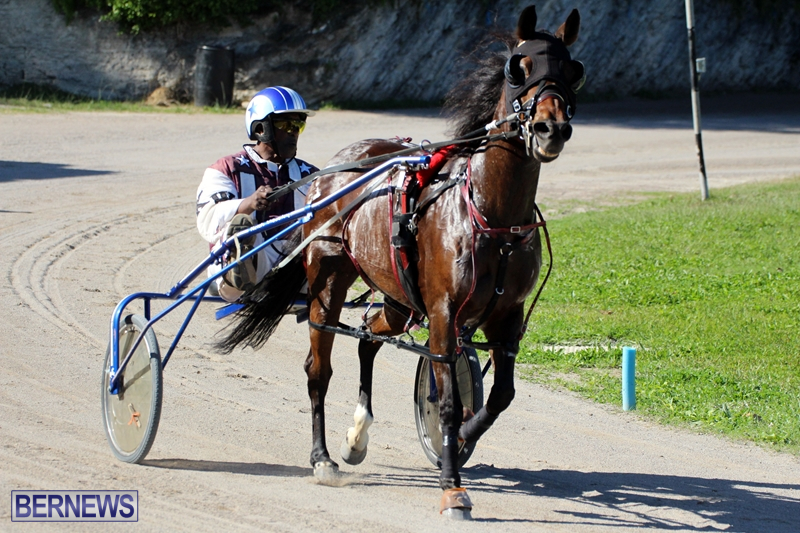 Bermuda-Harness-Pony-Racing-Dec-2015-19