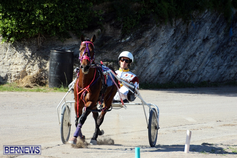 Bermuda-Harness-Pony-Racing-Dec-2015-8