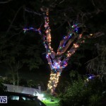 Christmas Lights Decorations Bermuda, December 23 2015-215