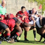 Rugby Bermuda Dec 2 2015 (14)