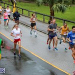 10K Race Bermuda Marathon Weekend, January 16 2016-12