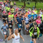 10K Race Bermuda Marathon Weekend, January 16 2016-65