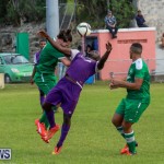 Football Bermuda, January 1 2016 (50)