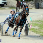 Harness Pony Racing Bermuda Jan 13 2016 (16)