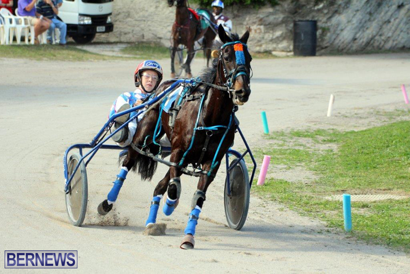 Harness-Pony-Racing-Bermuda-Jan-13-2016-16
