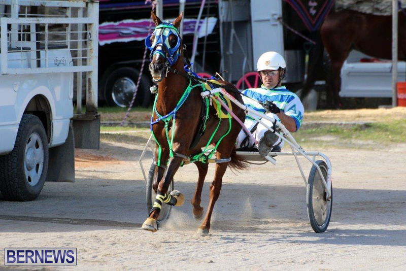 Harness-Pony-Racing-Bermuda-Jan-13-2016-18