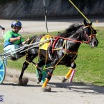 Harness Pony Racing Bermuda Jan 13 2016 (19)