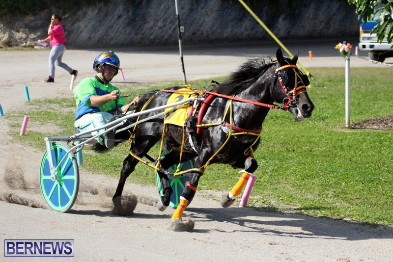 Harness-Pony-Racing-Bermuda-Jan-13-2016-19