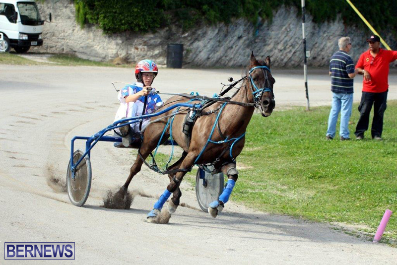 Harness-Pony-Racing-Bermuda-Jan-13-2016-3