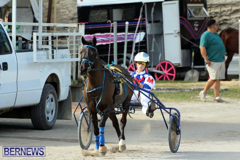Harness-Pony-Racing-Bermuda-Jan-13-2016-4