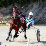 Harness Pony Racing Bermuda Jan 13 2016 (9)