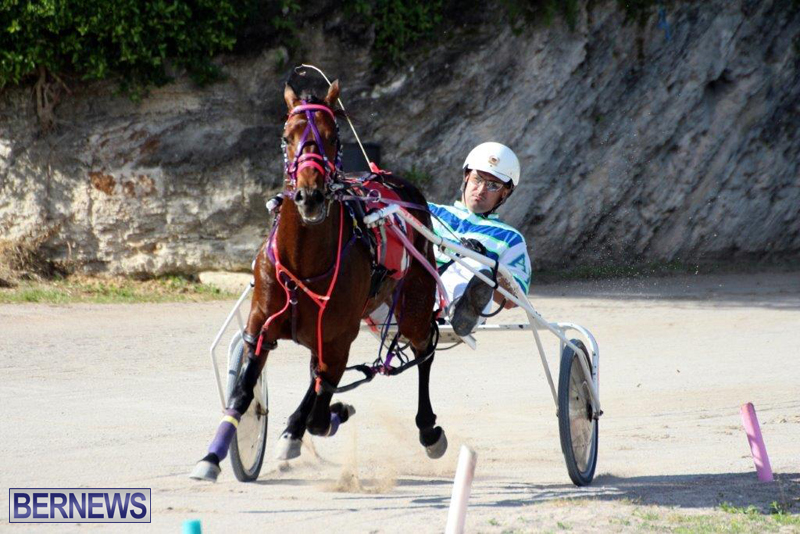 Harness-Pony-Racing-Bermuda-Jan-13-2016-9