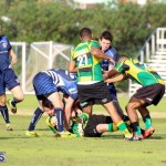 Rugby Bermuda Jan 20 2016 (1)