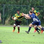 Rugby Bermuda Jan 20 2016 (18)