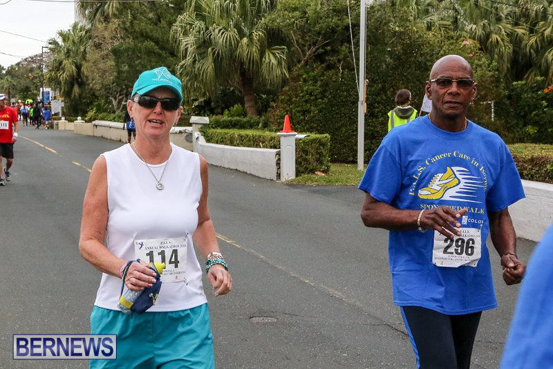 PALS-Walk-Bermuda-February-21-2016-31