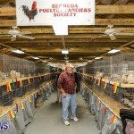 Poultry Show Bermuda, February 20 2016 (1)