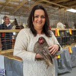 Poultry Show Bermuda, February 20 2016 (2)