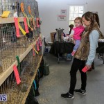 Poultry Show Bermuda, February 20 2016 (37)