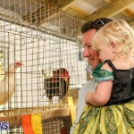 Poultry Show Bermuda, February 20 2016 (6)
