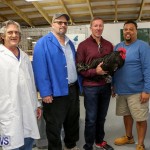 Poultry Show Bermuda, February 20 2016 (64)