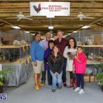 Poultry Show Bermuda, February 20 2016 (85)