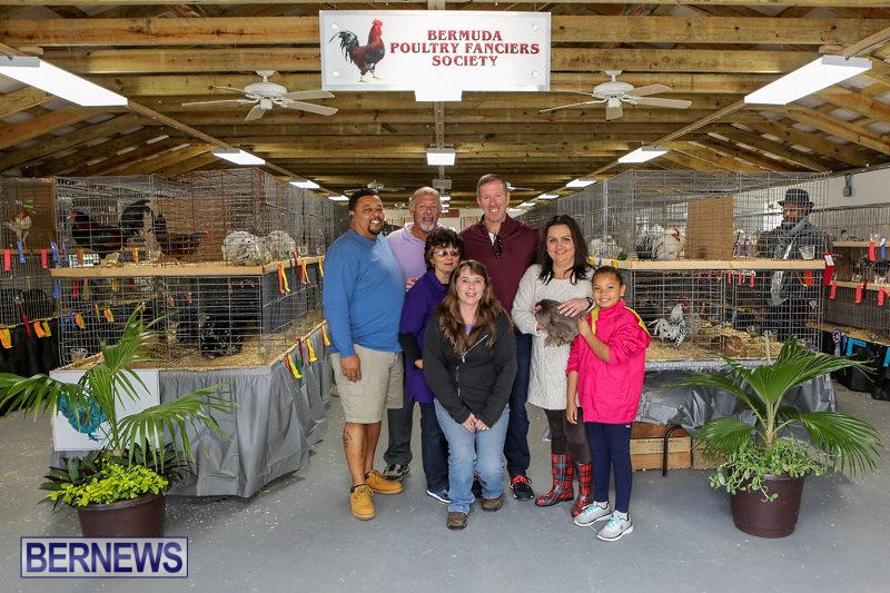 Poultry-Show-Bermuda-February-20-2016-85