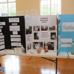 Purvis Primary Science Fair Bermuda, February 24 2016-110