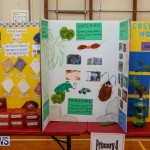 Purvis Primary Science Fair Bermuda, February 24 2016-117