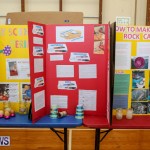Purvis Primary Science Fair Bermuda, February 24 2016-119