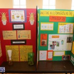 Purvis Primary Science Fair Bermuda, February 24 2016-126