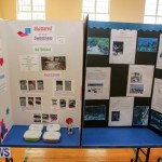 Purvis Primary Science Fair Bermuda, February 24 2016-136