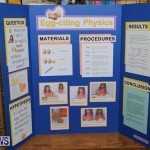Purvis Primary Science Fair Bermuda, February 24 2016-14