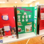 Purvis Primary Science Fair Bermuda, February 24 2016-63