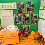 Purvis Primary Science Fair Bermuda, February 24 2016-66