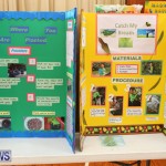Purvis Primary Science Fair Bermuda, February 24 2016-72