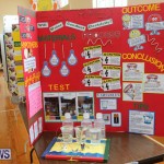 Purvis Primary Science Fair Bermuda, February 24 2016-82