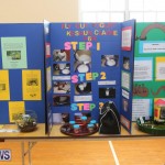 Purvis Primary Science Fair Bermuda, February 24 2016-87