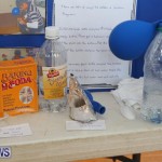 Purvis Primary Science Fair Bermuda, February 24 2016-97