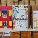Purvis Primary Science Fair Bermuda, February 24 2016-99