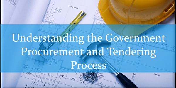 process government understanding procurement bernews