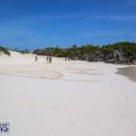 Beach Art Bermuda, March 19 2016-7