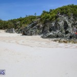 Beach Art Bermuda, March 19 2016-9