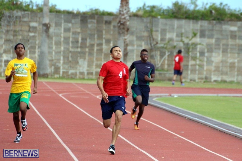 Bermuda-Athletics-Mar-2016-17