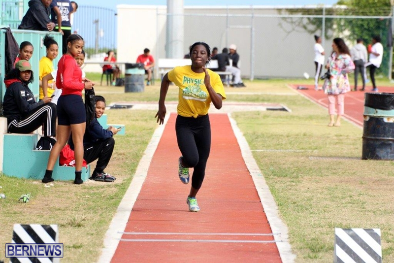 Bermuda-Athletics-Mar-2016-8