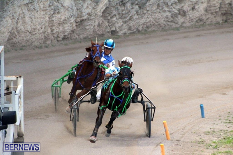 Bermuda-Harness-Pony-Racing-10-Mar-12