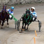 Bermuda Harness Pony Racing 10 Mar (13)
