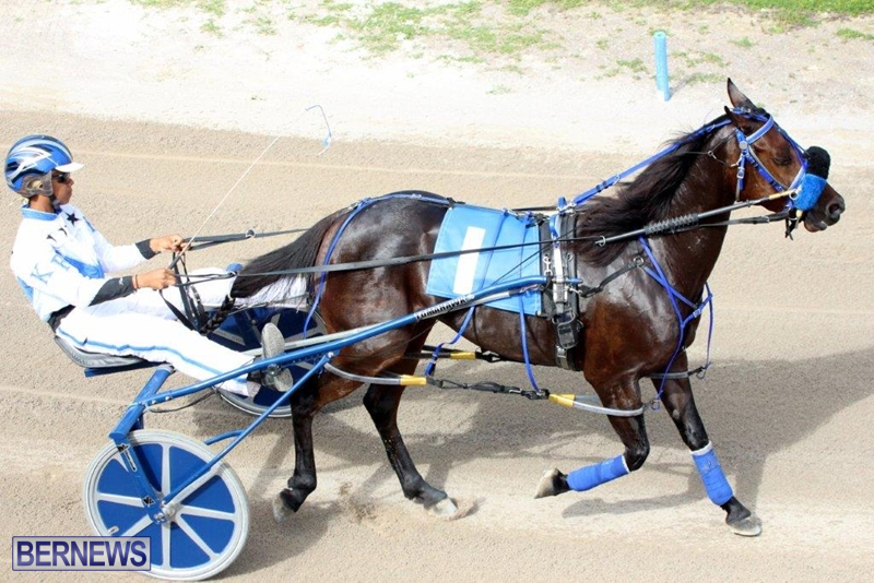 Bermuda-Harness-Pony-Racing-10-Mar-15