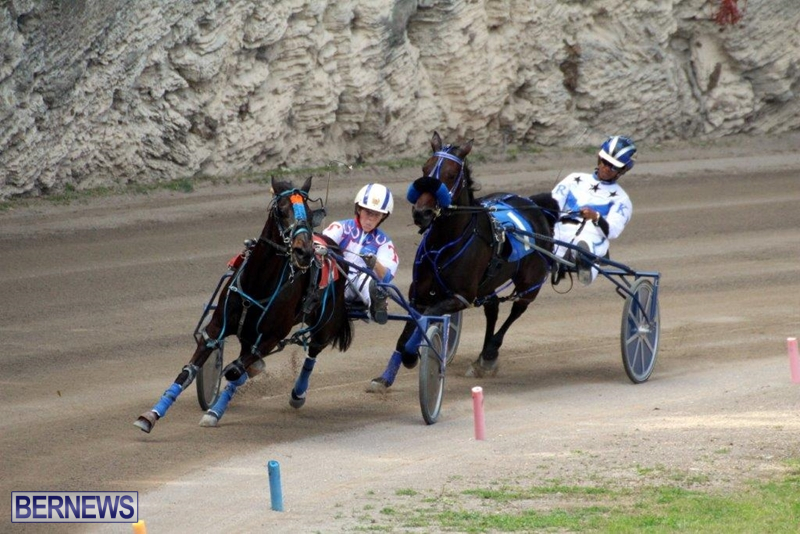 Bermuda-Harness-Pony-Racing-10-Mar-16