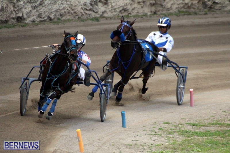 Bermuda-Harness-Pony-Racing-10-Mar-17