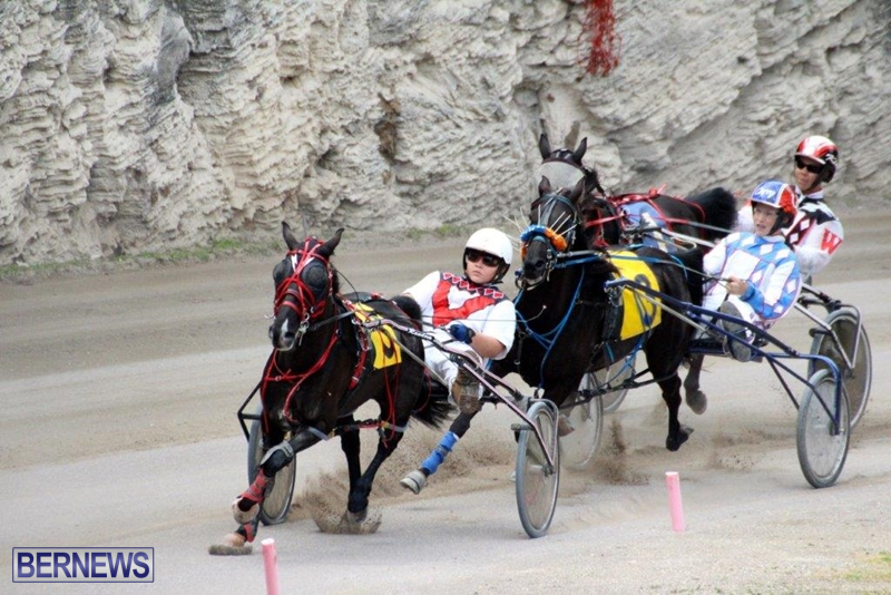 Bermuda-Harness-Pony-Racing-10-Mar-2